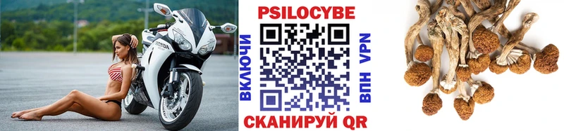 Галлюциногенные грибы прущие грибы  купить наркотик  Анадырь 